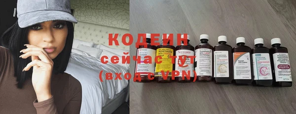 гидра Бронницы