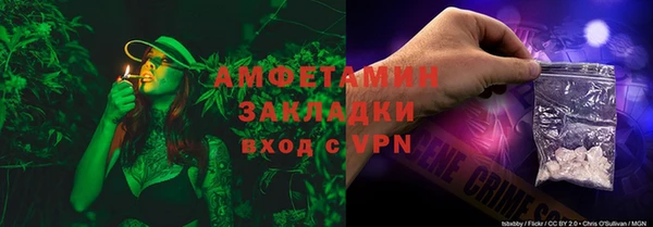 гидра Бронницы