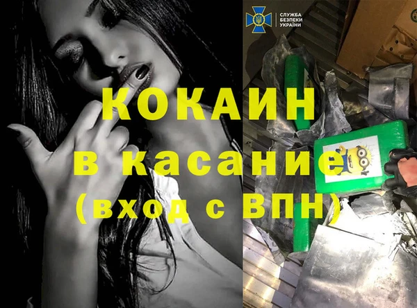 прущие грибы Кострома
