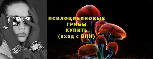 гидра Бронницы