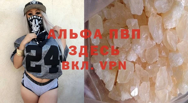 экстази Бородино