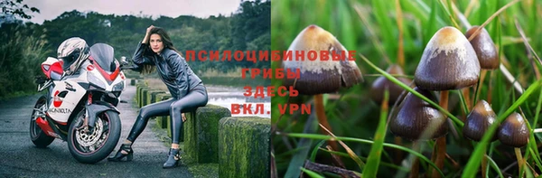 гидра Бронницы