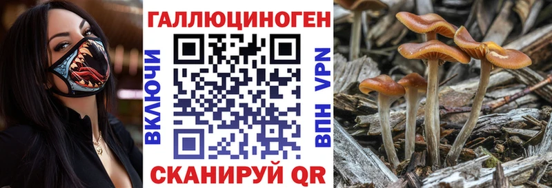 Псилоцибиновые грибы прущие грибы кракен как зайти Вилючинск